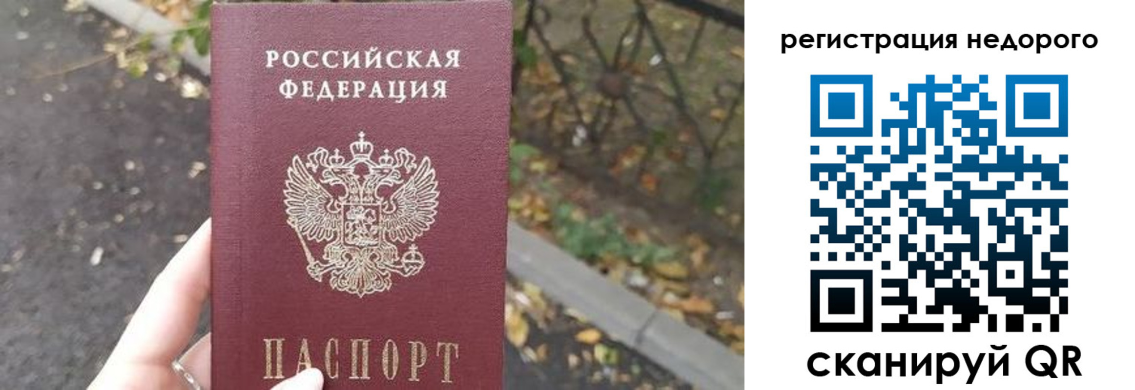 временная регистрация надежно в Заволжье